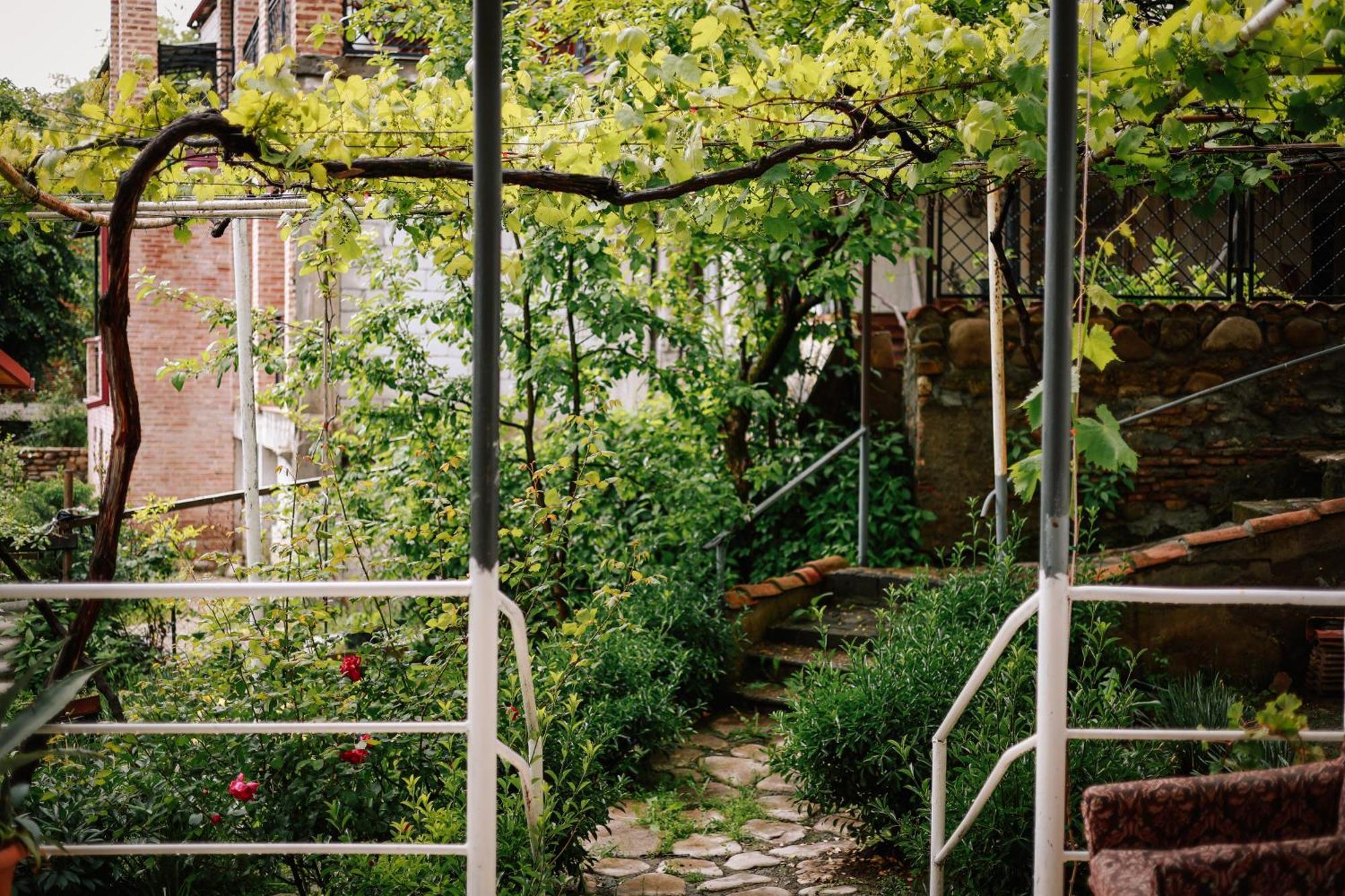 Отель Sighnaghi Garden House Экстерьер фото
